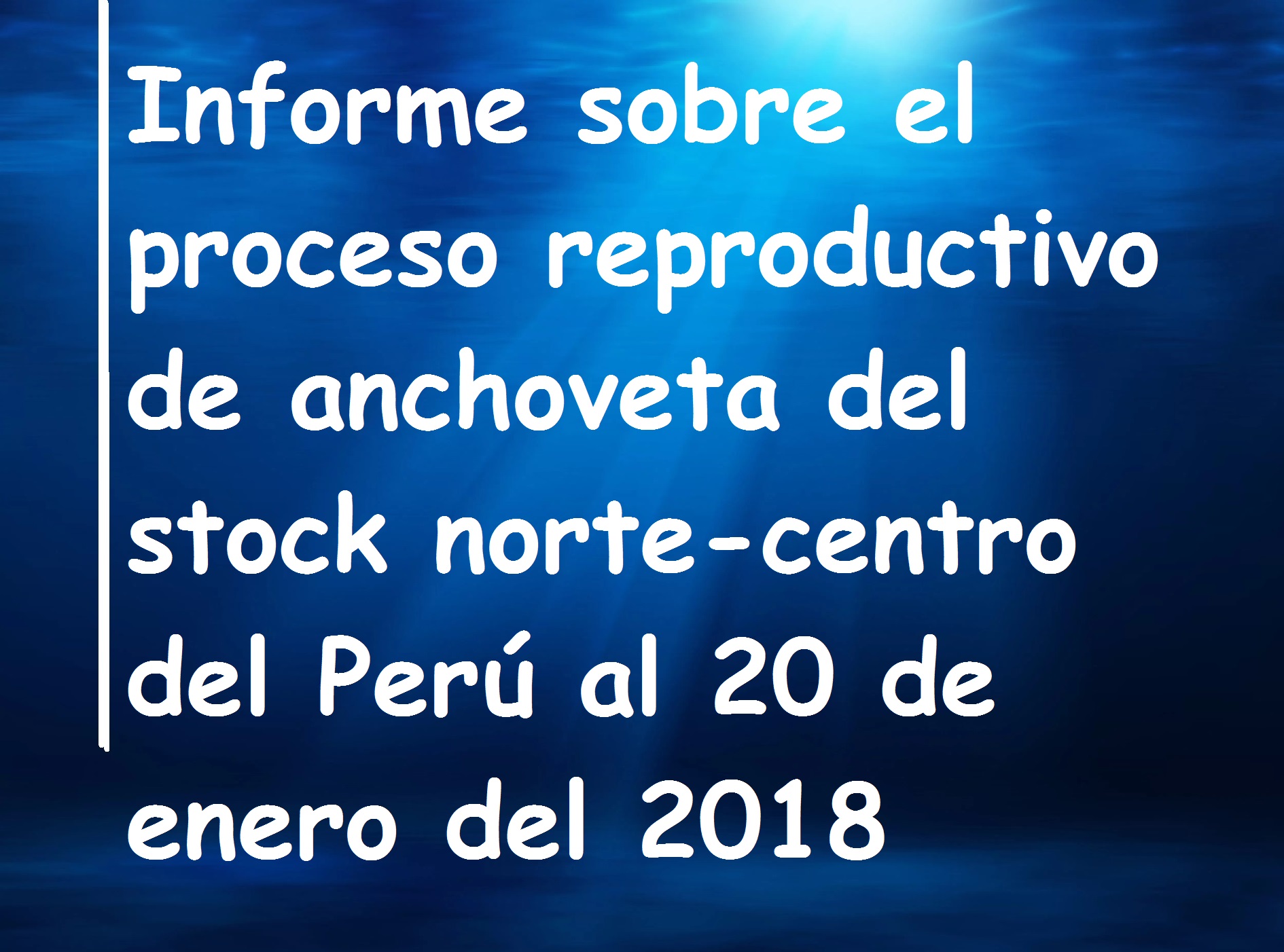 Informe anchoveta 20 enero 2018